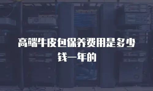 高端牛皮包保养费用是多少钱一年的