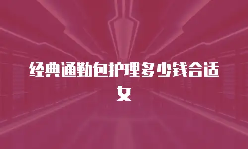 经典通勤包护理多少钱合适女