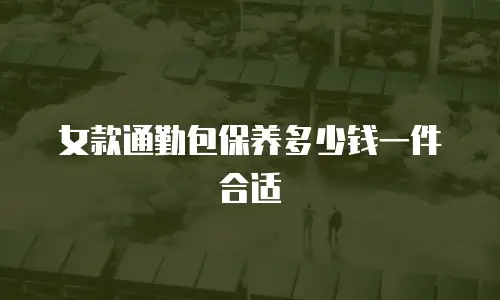 女款通勤包保养多少钱一件合适