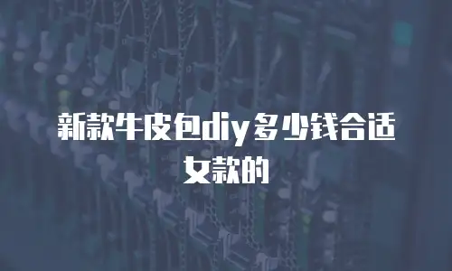 新款牛皮包diy多少钱合适女款的