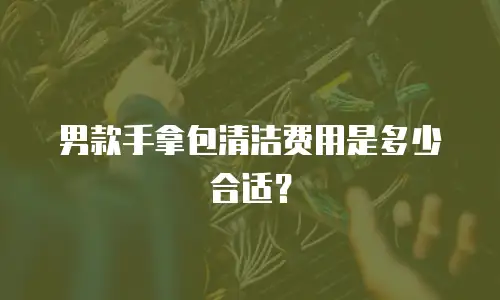 男款手拿包清洁费用是多少合适？