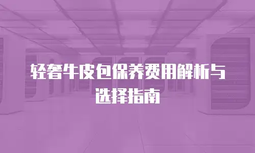 轻奢牛皮包保养费用解析与选择指南