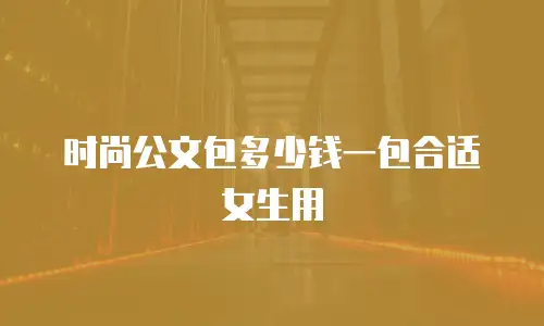 时尚公文包多少钱一包合适女生用
