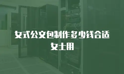 女式公文包制作多少钱合适女士用