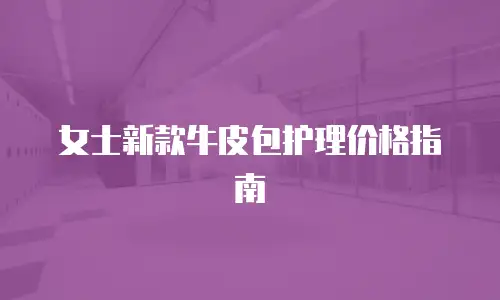 女士新款牛皮包护理价格指南