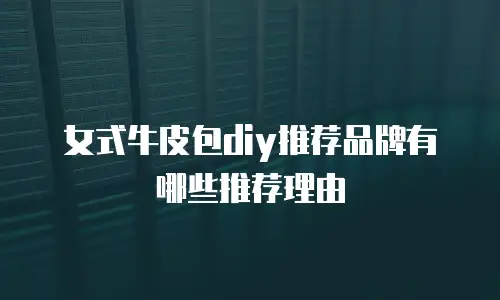 女式牛皮包diy推荐品牌有哪些推荐理由