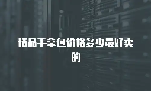 精品手拿包价格多少最好卖的