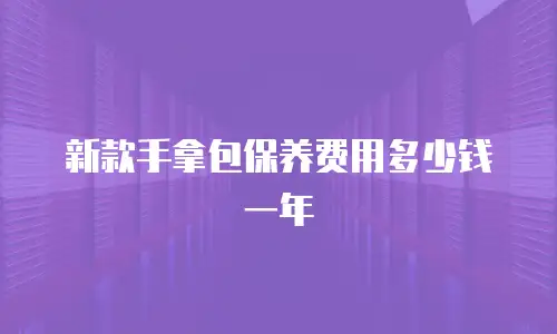 新款手拿包保养费用多少钱一年