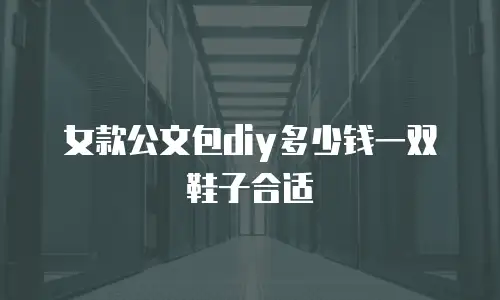 女款公文包diy多少钱一双鞋子合适