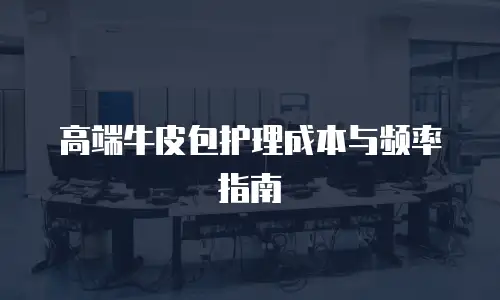 高端牛皮包护理成本与频率指南