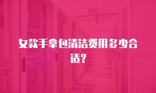 女款手拿包清洁费用多少合适？