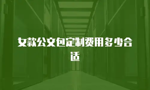 女款公文包定制费用多少合适