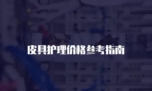 皮具护理价格参考指南