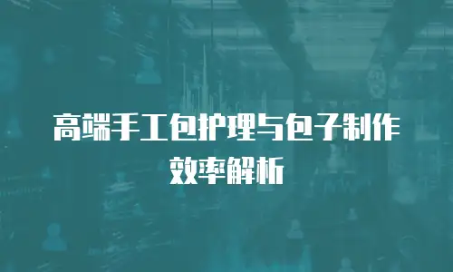 高端手工包护理与包子制作效率解析