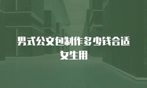 男式公文包制作多少钱合适女生用