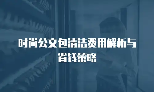 时尚公文包清洁费用解析与省钱策略