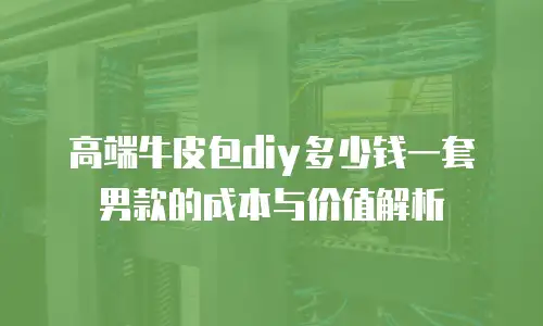 高端牛皮包diy多少钱一套男款的成本与价值解析