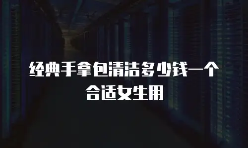 经典手拿包清洁多少钱一个合适女生用