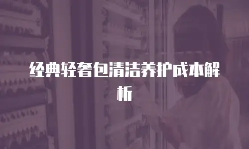 经典轻奢包清洁养护成本解析
