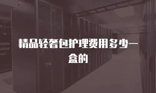 精品轻奢包护理费用多少一盒的