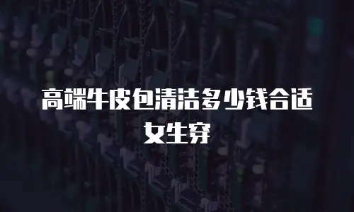 高端牛皮包清洁多少钱合适女生穿