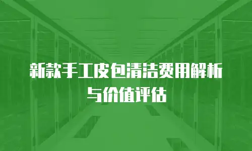 新款手工皮包清洁费用解析与价值评估
