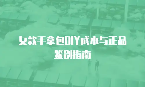 女款手拿包DIY成本与正品鉴别指南