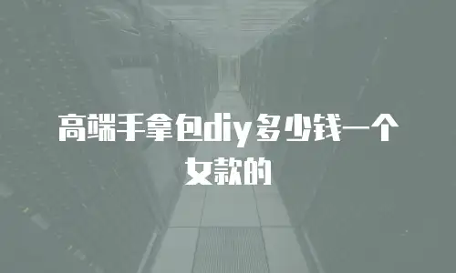 高端手拿包diy多少钱一个女款的