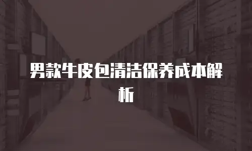 男款牛皮包清洁保养成本解析