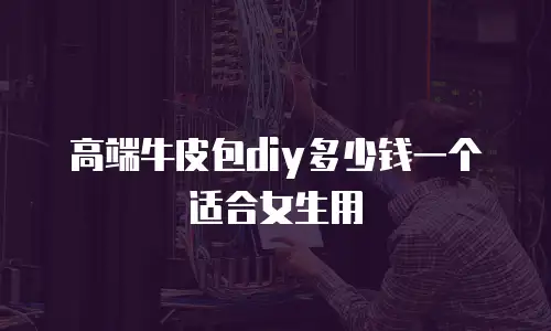 高端牛皮包diy多少钱一个适合女生用