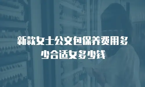 新款女士公文包保养费用多少合适女多少钱