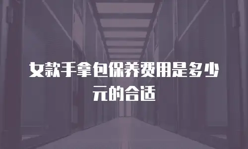 女款手拿包保养费用是多少元的合适