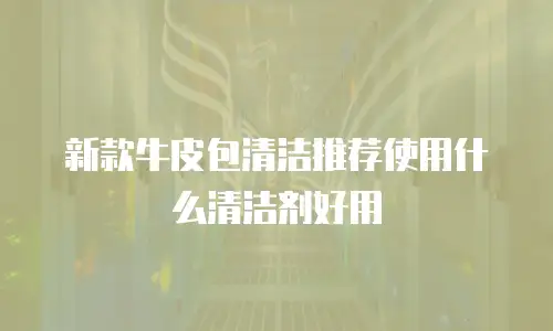 新款牛皮包清洁推荐使用什么清洁剂好用