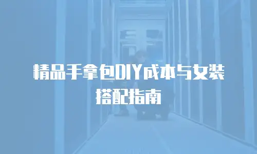 精品手拿包DIY成本与女装搭配指南