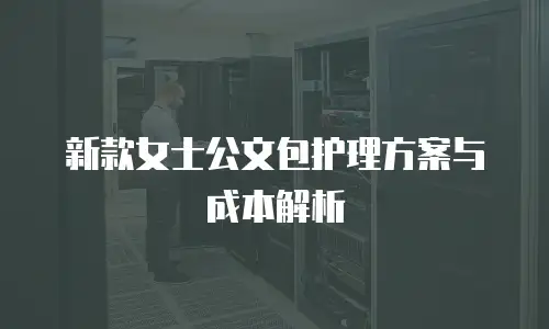 新款女士公文包护理方案与成本解析