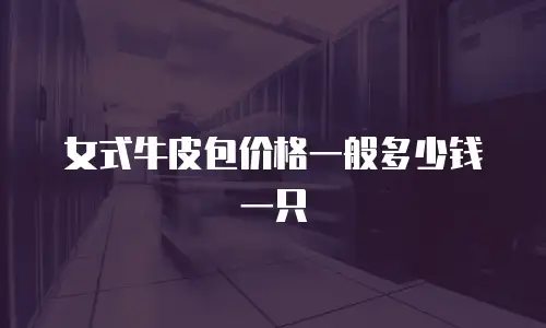 女式牛皮包价格一般多少钱一只