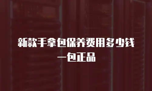 新款手拿包保养费用多少钱一包正品