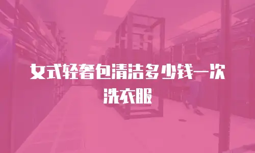 女式轻奢包清洁多少钱一次洗衣服