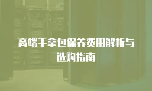 高端手拿包保养费用解析与选购指南