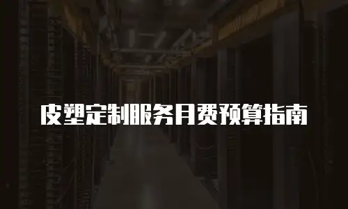 皮塑定制服务月费预算指南