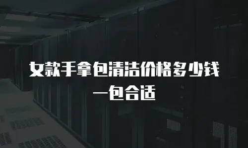 女款手拿包清洁价格多少钱一包合适