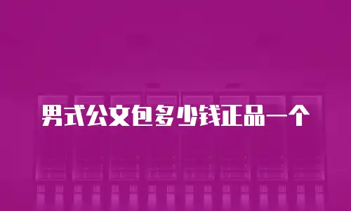 男式公文包多少钱正品一个