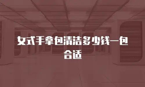 女式手拿包清洁多少钱一包合适