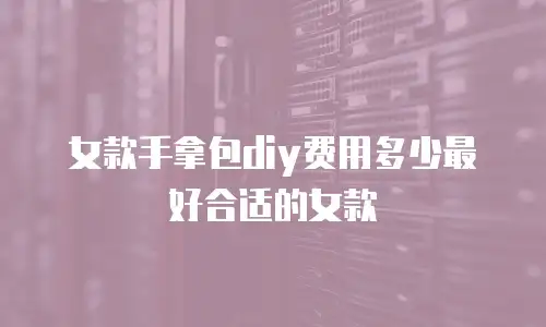 女款手拿包diy费用多少最好合适的女款