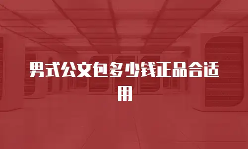 男式公文包多少钱正品合适用
