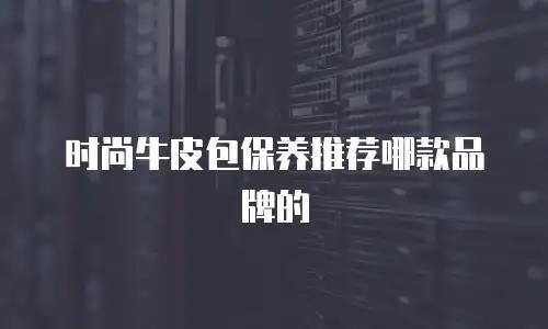 时尚牛皮包保养推荐哪款品牌的