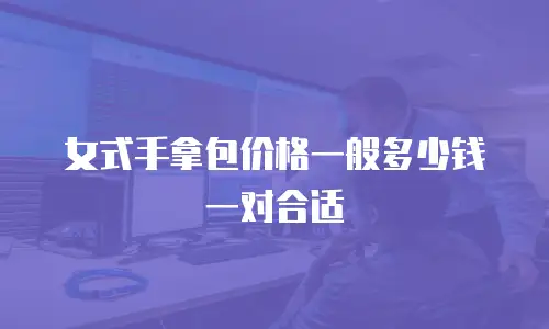 女式手拿包价格一般多少钱一对合适