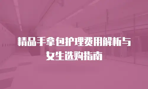 精品手拿包护理费用解析与女生选购指南