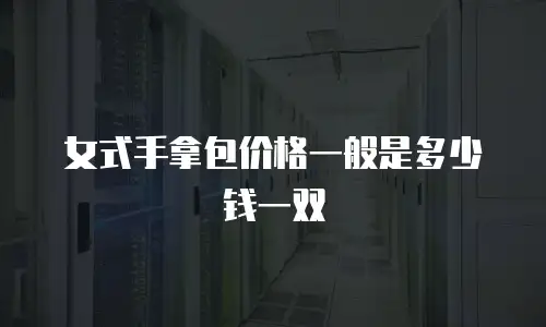 女式手拿包价格一般是多少钱一双