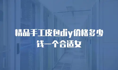 精品手工皮包diy价格多少钱一个合适女